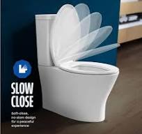 PLUMBFLEX Elongated Slow-Close Toilet Seat with Adjustable Hinges and Easy  Removal in White Molded Plastic, Standard Size Fit EPTSW4