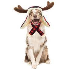 Buffalo Check Trapper Dog Hat With Antlers Dog Scarfs Dog Hat Dog Holiday