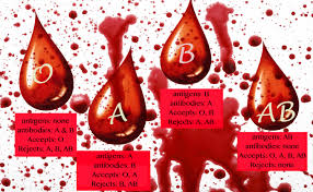 Should You Eat According To Your Blood Type Melanieavalon Com