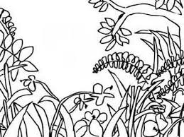 Drawing A Jungle Scene Jungle Art Jungle Scene Elementary Art Projects