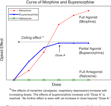 This has been termed a ceiling effect. Sublingual Buprenorphine Semantic Scholar