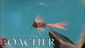 Poacher (Wet Fly)