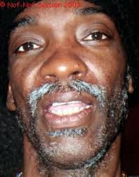 The Wailers.........