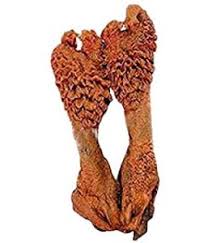 Hatha Jodi Hata Jori Hatha Jori Hata Jodi Hatha jodi original plant and root shown. hatha jodi hata jori hatha jori hata
