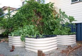 Birdies Raised Garden Beds Uk Birdie Bed Little Farm In The City