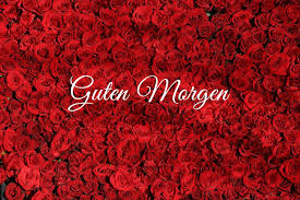 Guten morgen geliebter sonnenschein, lass die wärme in den morgen rein. Guten Morgen Liebe Wunderbare Bilder