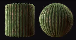 Rio grande do sul, brazil flower: Cactus Material Breakdown