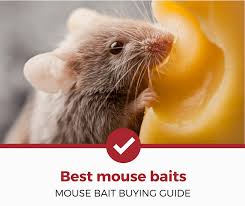 Their toxicity was oftentimes higher than modern day rodenticides. Top 4 Best Mouse Baits To Buy Now 2021 Review Pest Strategies