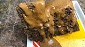 Black sapote, scientifically known as diospyros nigra is a species of persimmon and is not related to mamey sapote or white sapote. Black Sapote Taste Like Chocolate Pudding Youtube