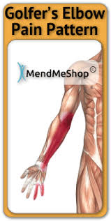 Medial epicondylitis affects the inner tendons in the elbow, and is commonly called golfer's elbow and little leaguer's elbow. Pin On Holistic Health