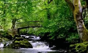 River Gif Find On Gifer #doctor who gif #river song gif #writing gif #publishing gif. river gif find on gifer