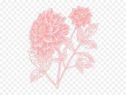 Maybe you would like to learn more about one of these? Light Pink Flower Print Png Clip Arts For Web Clip Arts Floral Print Png Pink Flowers Png Free Transparent Png Images Pngaaa Com