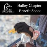 Ducks Unlimited: Hailey Benefit Shoot