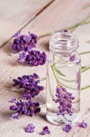Projects Lavender Perfume Lavender Water Diy Perfume