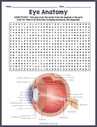 Parts Of The Eye Anatomy Word Search Puzzle Worksheet Activity Parts Of The Eye Eye Anatomy Diagram Of The Eye