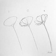 Korean Artist Uploads Step By Step Tutorials On How To Draw Beautiful Flowers Flower Drawing Tutorials Flower Drawing Botanical Drawings