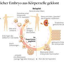 Klonen Das Ersatzteillager Fur Organe Ist Jetzt Moglich Welt