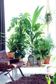 Ne soyez pas timides, mettez de la couleur ! Boek Het Plantenlab Jardin D Hiver Plante Verte Interieur Deco Plantes