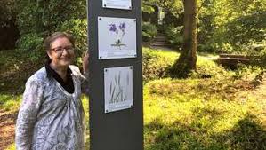 Alter botanischer garten ist eine forschungseinrichtung in göttingen. Gottingen Ausstellung Im Alten Botanischen Garten Gottingen