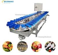 Automatic Fruit Sorting Machine Weighing and Grading equipment Competitive price