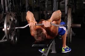 Biceps And Triceps Workout Building Muscle 101