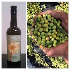 Our First Olive Oil From Popelouchum Now Bottled And Labeled Artist Amelie H C Grahm Randall S Daughter Oliveoil Bonnydoonv Grapes Vineyard Olive Oil