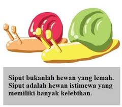 Kunci Jawaban Tematik Tema 1 Kelas 5 Halaman 42 43 44 46 49 50 Pembelajaran 5 Subtema 1 Organ Gerak Hewan