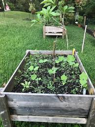 If you chuckle at the idea of it, he will regale you with tales of his love for clemson, weyman c wannamaker and more. Care Bellamy S Informative Permaculture Garden Tour Of Her Food Forest And Pollinator Beds Is Something You Won T Want To Miss Organic Gardener Podcast