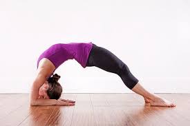 Dwi Pada Viparita Dandasana Upward Facing Two Foot Staff Pose