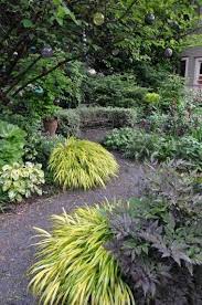 Lucy Hardiman Of Perennial Partners Vibrant Spring Vignettes Shade Garden Plants Shade Plants Japanese Forest Grass