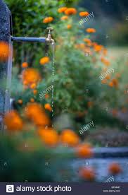 Ausmachen is used if you shut off any kind of machinery or electrical device. Wasser Tropft Aus Wasserhahn Im Garten Stockfotografie Alamy