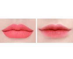 Etude house matte chic lip lacquer comparison review. 3ce 3 Concept Eyes Soft Lip Lacquer Shawty