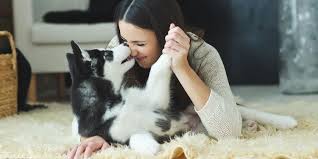 Hallo, meine maus ist jetzt 5 monate und ich wollte auch bis mind. Ernahrung Von Zuchthundin Welpen Teil Ii Belcando Pfotentipps