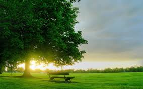 Maybe you would like to learn more about one of these? 27 Beautiful Nature Full Hd 1080p Wallpaper Basty Wallpaper Desktop Background Nature Beautiful Nature Pictures Beautiful Nature