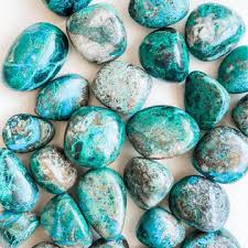 Image result for Chrysochloa