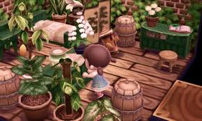 Sugarpie Crossing Animal Crossing Animal Crossing Wild World Animal Crossing Game