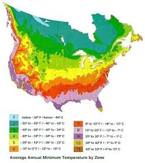 Usda Growing Zone Buildingplate Zhnm Com