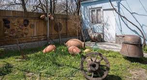 I was wondering whether you know about moisture issues — what is a good percentage, and what would be considered too damp? Gogi Dvalishvili Wine Cellar Homestay Khidistavi Deals Photos Reviews