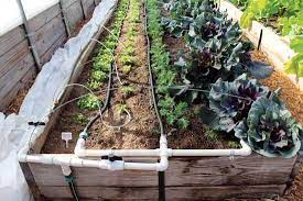 Watering perennial and vegetable gardens , along with shrubs and trees, with drip irrigation has numerous benefits, according to the university of rhode island. How To Build A Drip Irrigation System Diy Mother Earth News Irrigation System Diy Garden Irrigation System Garden Watering System