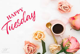 Just wanted to say aloe! Happy Tuesday Say It With Flowers Premium Wishes