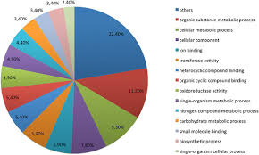 Pie Chart Distribution Of The Gene Ontology Category