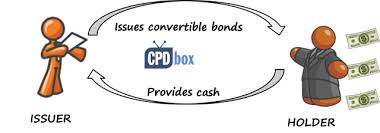 When the bond is convertible into shares, it means that the bond holder can get paid either by cash at maturity or exchange this bond for some fixed number of issuer's shares. How To Account For Compound Financial Instruments Ias 32 Cpdbox Making Ifrs Easy