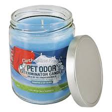 Each jar candle burns approximately 70 hours and will fill your home, office or rv with its enjoyable fragrance. Maven Gifts Specialty Pet Products Pet Odor Exterminator Candle 2 Pack 13 Oz Orange Lemon Splash Jar Candle With 13 Oz Clothesline Fresh Jar Candle Walmart Com Walmart Com