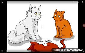We did not find results for: Warrior Cats Memes Funny