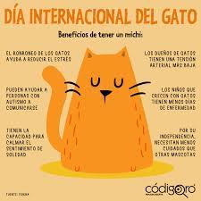 Así mismo, son innovadores y creativos, y en los entornos propicios pueden desarrollar propuestas novedosas de beneficio común. Codigoqro On Twitter Undiacomohoy Desde 2002 El Foro Internacional Para El Bienestar Animal Celebra El 8 De Agosto De Cada Ano El Dia Internacional Del Gato Para Conmemorar A Todos Los