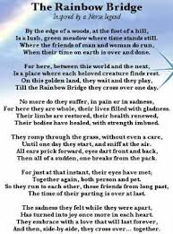  Pin By Shannon Shields On Grief Loss Rip Quotes Rainbow Bridge Rainbow Bridge Poem Puppy Love