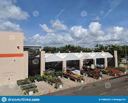162 Home Depot Garden Center Photos Free Royalty Free Stock Photos From Dreamstime