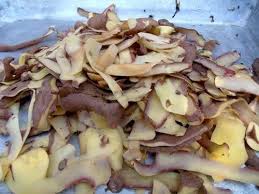Intoxication Par Les Pommes De Terre Chez Le Chien Urgences 31