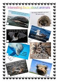 During periods of decreased blood flow to the kidneys—such as when an animal is dehydrated, under anesthesia, or has kidney disease—prostaglandins cause the arteries going to the kidneys to open. Animal Quiz Who Am I Interesting Facts About Animals Esl Worksheet By Lucy Tykholiz