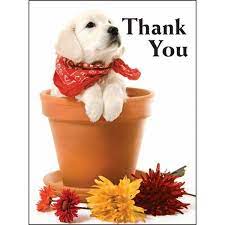 Her video of the dog named brownie saying, thank you, has gone viral on twitter. Personalized Card Thank You Puppy Design No Envelope Imprint Package Of 50 Hd Supply